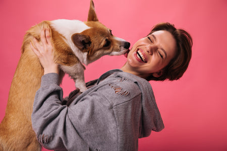 Pet
