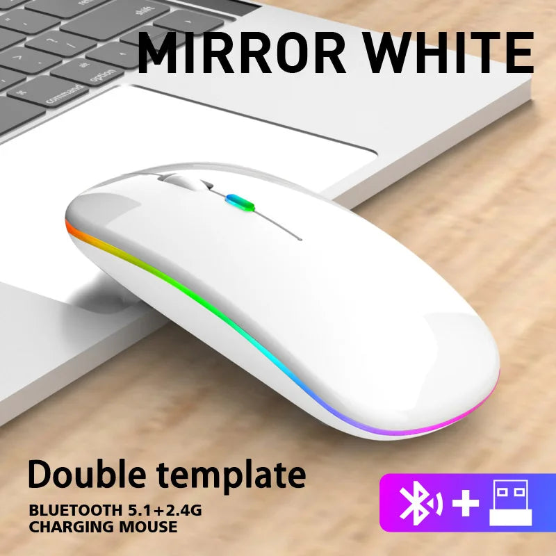 Mouse sem fio Bluetooth e 2,4 GHz, Modos duplos Recarregável RGB Ergonômico, Clique silencioso para PC iPad Laptop Celular TV.